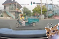 Gừng càng già càng... xoay