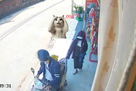 Anh gì ơi, anh đánh rơi... vợ này