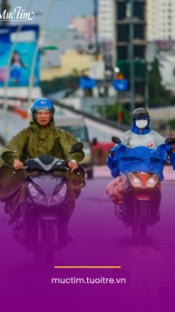 Thời tiết hôm nay 19-11: Bắc Bộ trời rét, Nam Bộ chiều tối có mưa 