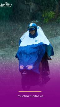 Dự báo thời tiết ngày mai 29-12: Bắc Bộ rét, Nam Bộ ngày nắng