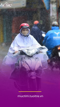 Thời tiết hôm nay 5-12: Nam Bộ nắng gián đoạn, mưa vài nơi