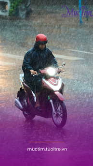 Thời tiết hôm nay 15-5: Nam Bộ có mưa to vài nơi