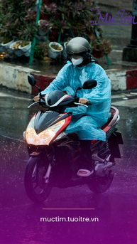 Thời tiết hôm nay 22-5: Nam Bộ mưa to