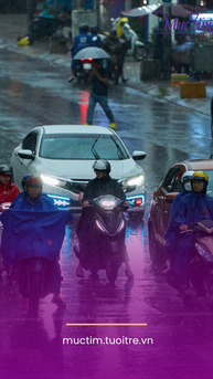 Thời tiết hôm nay 11-6: Nam Bộ, Trung Bộ mưa do bão số 1 sắp hình thành
