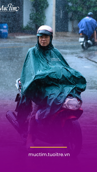 Dự báo thời tiết ngày mai 15-1: Bắc Bộ mưa rào rải rác