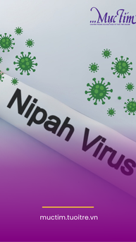 Các biện pháp phòng ngừa virus Nipah