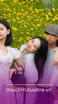 Cánh đồng hoa vàng phủ kín khung hình, giới trẻ rủ nhau đến check-in