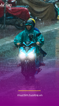 Dự báo thời tiết ngày mai 26-2: Bắc Bộ mưa rào, Nam Bộ chiều tối mưa dông