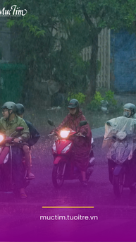 Dự báo thời tiết ngày mai 27-2: Nam Bộ và TP.HCM có mưa lớn trái mùa