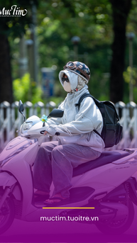 Dự báo thời tiết ngày mai 13-3: Bắc Bộ lạnh, Nam Bộ và TP.HCM nắng nóng