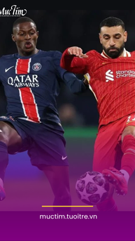 Điểm danh 8 đội góp mặt tại tứ kết Chamions League 