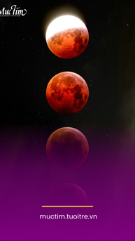 Cách chiêm ngưỡng nguyệt thực toàn phần tối 3-3