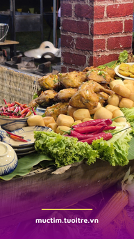 Khám phá Lễ hội Văn hóa Ẩm thực, Món ngon Saigontourist Group 2026