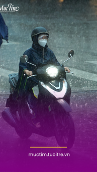 Dự báo thời tiết ngày mai 29-4: Nam Bộ và TP.HCM xuất hiện mưa dông chiều tối