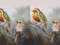 Quiz: Bạn là chỗ dựa vững chắc cho bạn đời hay là người lệ thuộc