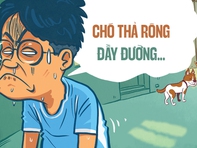 Chó thả rông và nỗi sợ '3 mũi 900 ngàn'
