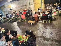 Ảnh vui 4-11: Cậu Vàng 'hot' nhất mạng xã hội lúc này