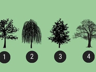 Quiz: Bạn đang ở giai đoạn nào trong cuộc đời?