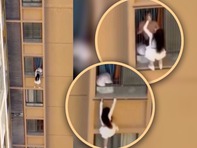 Cô gái 'làm xiếc' giữa trời để trốn... vợ của nhân tình