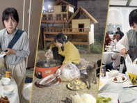 Cô gái vào đám cưới để xin đồ ăn nuôi 120 con mèo hoang