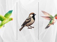 Quiz: Bạn cởi mở, sáng tạo hay là người chu đáo và trung thành