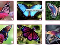 Quiz: Bạn chân thành, nhạy cảm hay là luôn hướng đến sự hoàn hảo