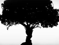 Quiz: Bạn nhạy cảm, khéo léo hay là người lãng mạn