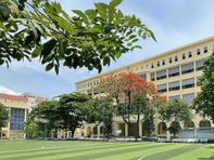 Trường Đại học Y Dược TP.HCM