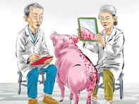 Triết lý mới của ngành kiểm dịch thú y: Hai mặt của một vấn đề