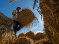 Xem những bức ảnh về xứ dừa Bến Tre tuyệt đẹp của chàng trai Nguyễn Khánh Vũ Khoa
