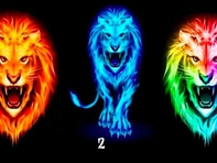 Quiz: Bạn linh hoạt hay là người năng động, thẳng thắn