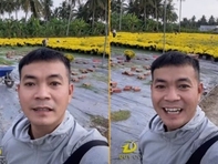 Rộ xu hướng 'giải cứu cúc mâm xôi' khắp cõi mạng