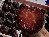 Sự thật trái dâu tây màu đen đang gây sốt mạng xã hội Trung Quốc