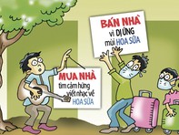 Mua nhà vì hoa sữa, bán nhà cũng tại hoa sữa