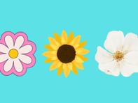 Quiz: Đức tính tuyệt vời nhất của bạn là gì?