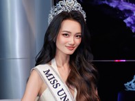 Hoa hậu Quỳnh Anh bị cấm diễn 6 tháng và nộp phạt vì nói xấu người khác