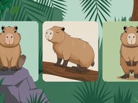 Quiz: Tính cách nổi bật nhất của bạn là gì?
