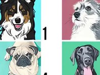 Quiz: Bạn là người như thế nào?