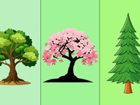 Quiz: Yếu tố nào giúp bạn đạt được thành công?