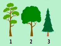 Quiz: Bạn có tư duy chín chắn và định hướng rõ ràng cho tương lai?