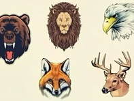 Quiz: Bạn kiên trì, bền bỉ hay là người tràn đầy ý tưởng