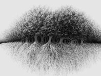 Quiz: Bạn có tầm nhìn xa và quyết đoán