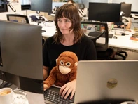 Thú bông của khỉ Punch tăng giá gấp 16 lần vẫn 'cháy hàng'