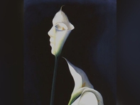 Quiz: Bạn sở hữu sức hút tự nhiên và nguồn năng lượng lan tỏa?