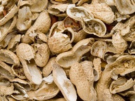 Biến vỏ đậu phộng thành 'vật liệu kỳ diệu' siêu nhẹ, siêu bền