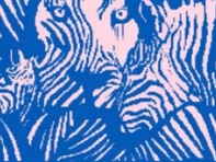 Quiz: Bạn là người hướng ngoại?