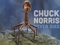 Tạm biệt Chuck Norris - chủ nhân loạt meme nổi tiếng cõi mạng