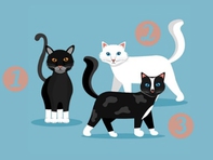 Quiz: Khi gặp vấn đề, bạn giải quyết như thế nào?