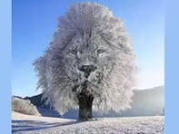 Ảo ảnh thị giác hé lộ mức độ tự tin của bạn trong tình yêu