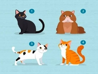 Quiz: Bạn đang mong muốn điều gì?